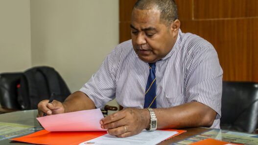senior interim manager