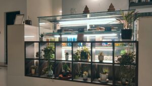Innowacje w AgeTech showroom