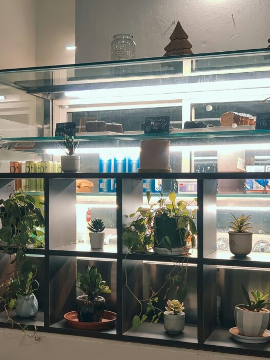 Innowacje w AgeTech showroom