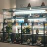 Innowacje w AgeTech showroom