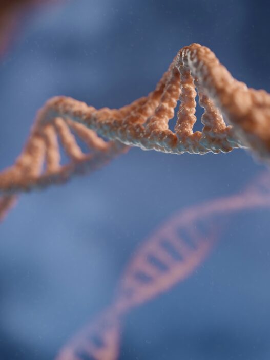 HERVolution Therapeutics