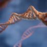HERVolution Therapeutics