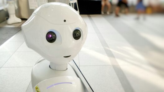 Roboty pomogą seniorom