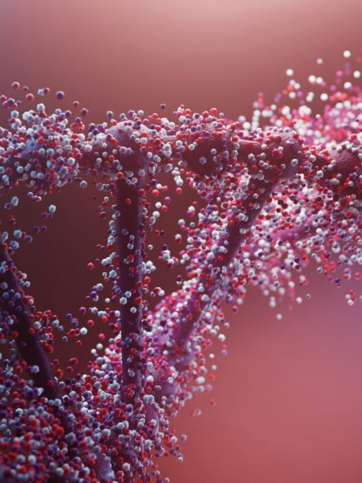 longevity i przedłużanie życia