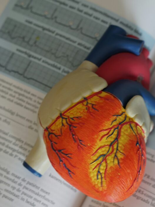 Startupy MedTech Cardio